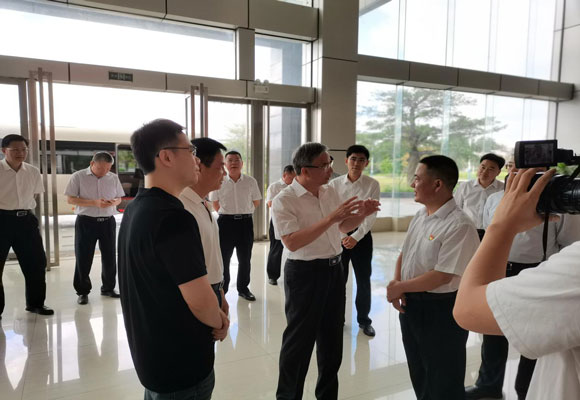 阳江市市委书记林道平莅临金辉集团.jpg